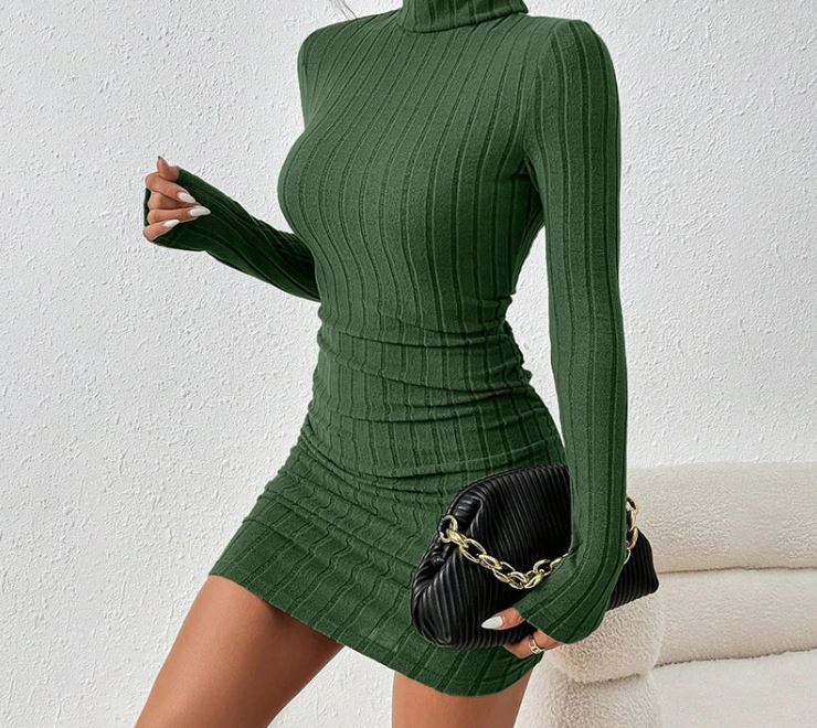 Chic Slimline Knit Turtleneck Dress