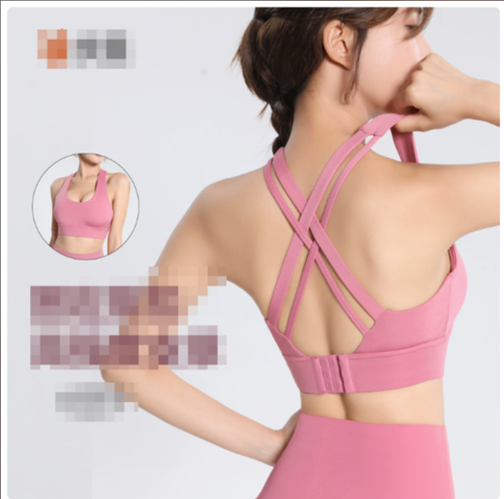 Sophisticated Nylon Support Bra