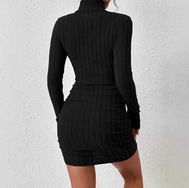Chic Slimline Knit Turtleneck Dress